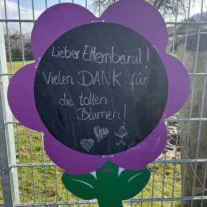 Bunte Blumen für die  Naturgruppe der Evangelischen Kita Bad König 