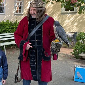 Der Falkner zu Besuch in der Evangelischen Kita Bad König 
