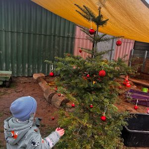 Die Kinder der Naturgruppe schmücken ihren Weihnachtsbaum