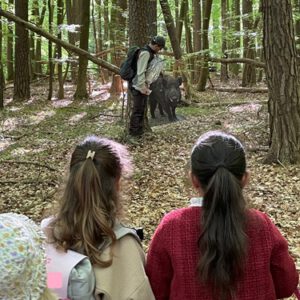 Ein spannender Vormittag mit dem Förster im Wald 