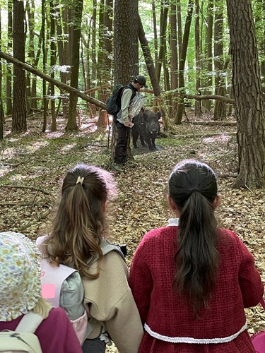 Ein spannender Vormittag mit dem Förster im Wald 